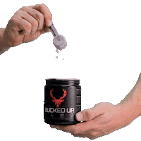 Fitness Pump You Up Sticker by Bucked Up