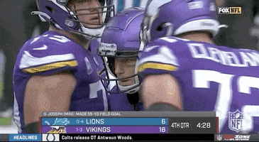 Minnesota Vikings Football GIF by NFL