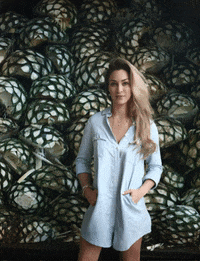 encantadora art tequila mezcal alexa GIF