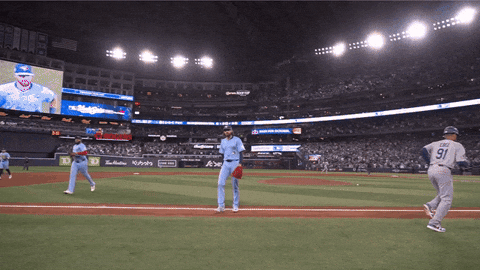 Blue Jays Canada GIF by Toronto Blue Jays
