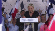 marine le pen discours GIF by franceinfo