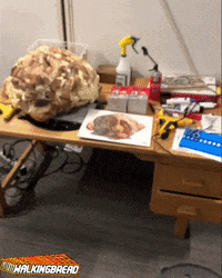 Performance Lab GIF by Alex Boya