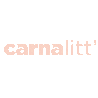 Carnaval Bloco Sticker by Litt'
