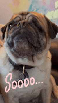 Si Yes GIF