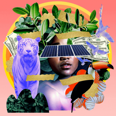 Text gif. Collage of manicured jungle imagery, tropical plants, birds in flight, a tiger, a toucan, cash, and a woman's face obscured by a solar panel. A handwritten message reads "Getting money for going green" against a light pink gradient background.