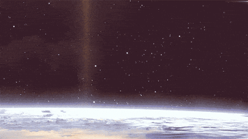 johnbeckers cat space pizza cats GIF