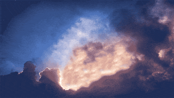 johnbeckers cat space pizza cats GIF