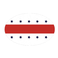 Vote Sticker by BoxLunch