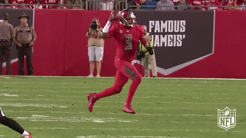 Tampa Bay Buccaneers GIF by NFL
