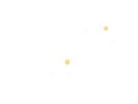Flowers Daisies Sticker