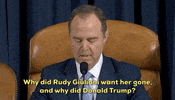 news impeachment inquiry adam schiff impeachment hearings day two GIF