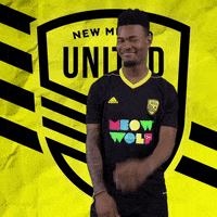 Pro Soccer GIF by New Mexico United