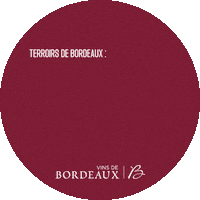 Cheers Wine Sticker by Vins de Bordeaux