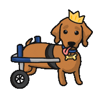 Teddy Sticker