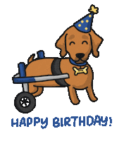 Teddy Pawty Sticker