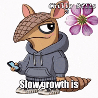 Flower Bloom GIF by Chillo Dillo