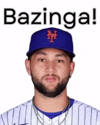 New York Mets GIF