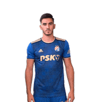 Football Soccer Sticker by GNK Dinamo