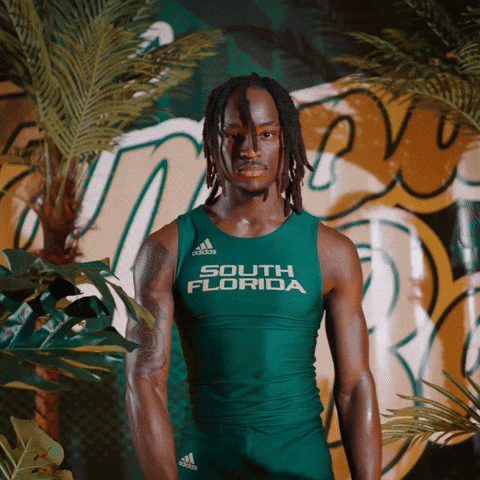 South Florida Horns Up GIF by USF Athletics