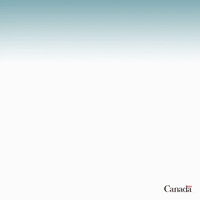 canada_international canada4rights defendmediafreedom GIF