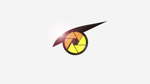 birdseyevr birdseyevr GIF