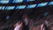 lets go chest bump GIF by Boston Celtics