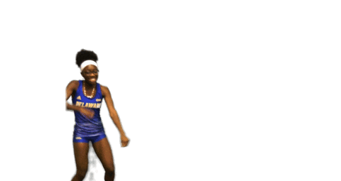 College Sports Ncaa Sticker by Delaware Blue Hens