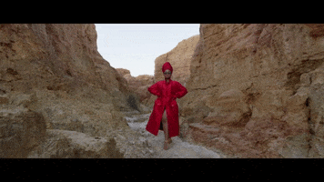 Happy Dance GIF by Sony Music Africa
