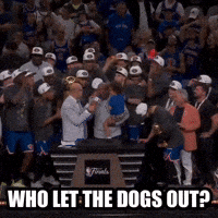 New York Knicks GIF