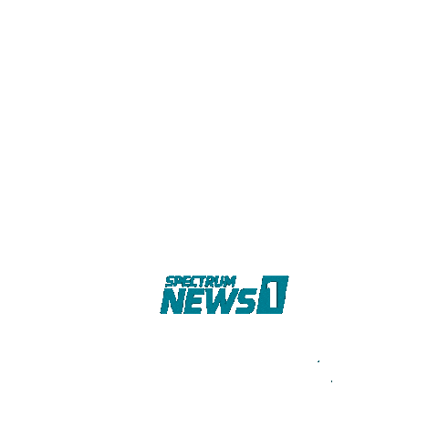 March On Lion Sticker by Spectrum News NY1