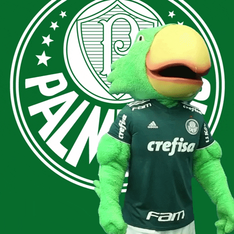 vamos tamo junto GIF by SE Palmeiras