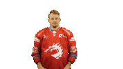 Ice Hockey Sticker Sticker by HC Oceláři Třinec
