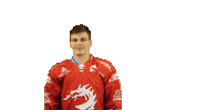 Ice Hockey Sticker Sticker by HC Oceláři Třinec