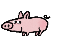 Pig Love Sticker