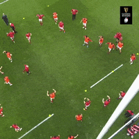 The Boys Sport GIF by Guinness Six Nations
