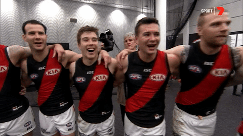 happy sport GIF by Essendon FC