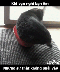 GIF by Lozi Singapore Co.