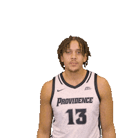 Basketball Flex Sticker by Providence Friars