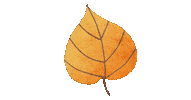 Fall Season Sticker