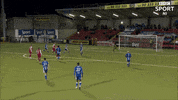 Goal Volley GIF by Cliftonville Football Club