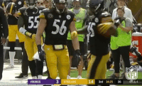 Pittsburgh Steelers Football GIF by NFL