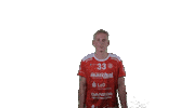 Handball Vtb Sticker by SG VTB/Altjührden