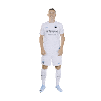 Dominik Dancing Sticker by FC Slovan Liberec