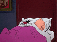 looney tunes sleeping GIF