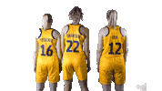 Team Swedish Sticker by Sweden Basketball