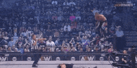 Matt Hardy Aew On Tnt GIF by All Elite Wrestling on TNT