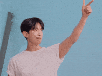 Dk 세븐틴 GIF