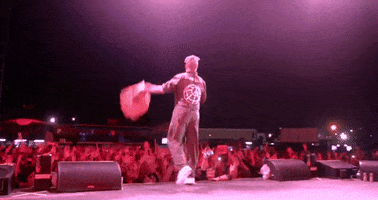 diplo GIF by MAJOR LAZER