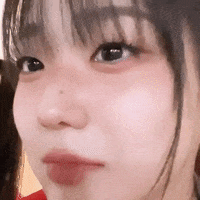 K Pop Cutie GIF
