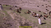 conan obrien armenia GIF by Team Coco